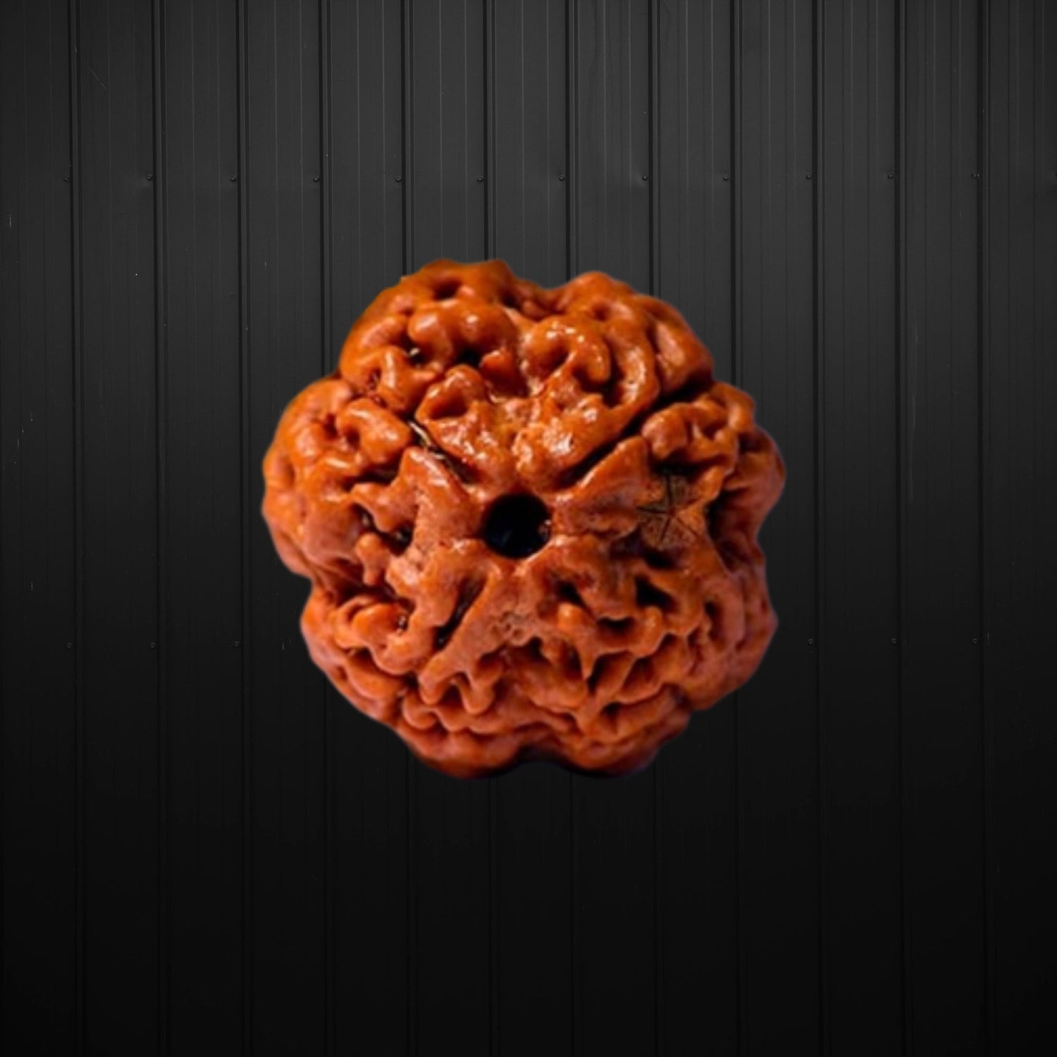 RUDRAKSHA