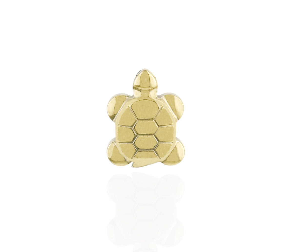PYRITE TORTOISE