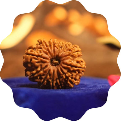 RUDRAKSHA